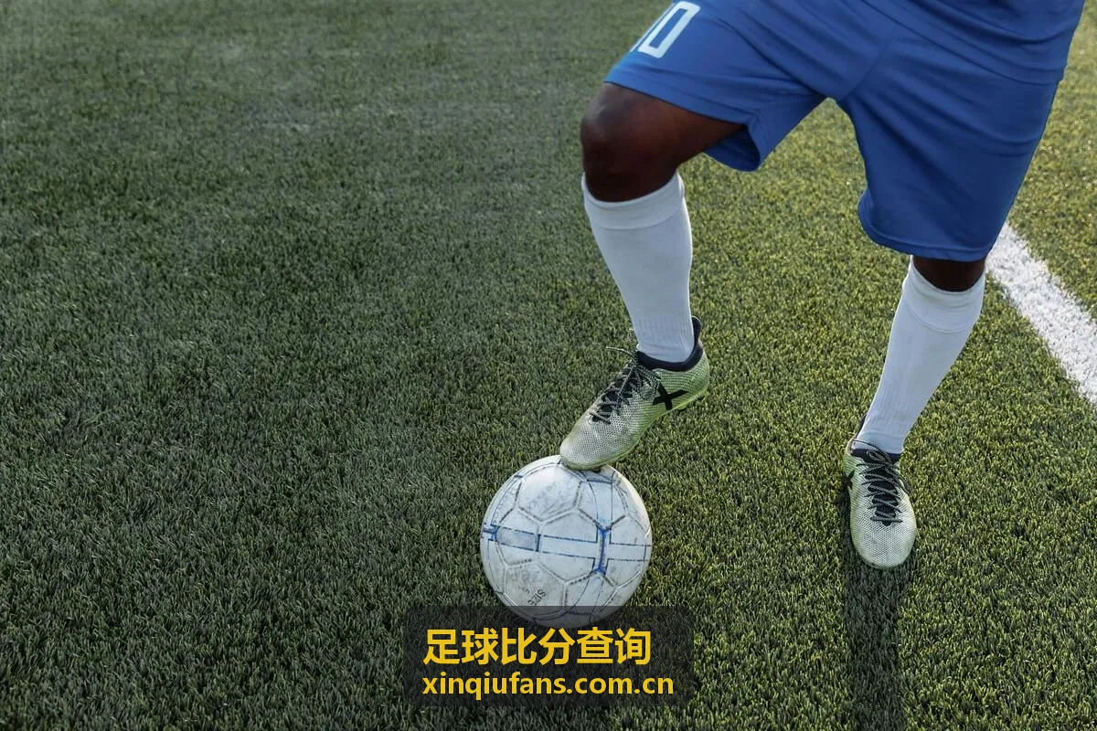 足球比分查询 - 法甲联赛